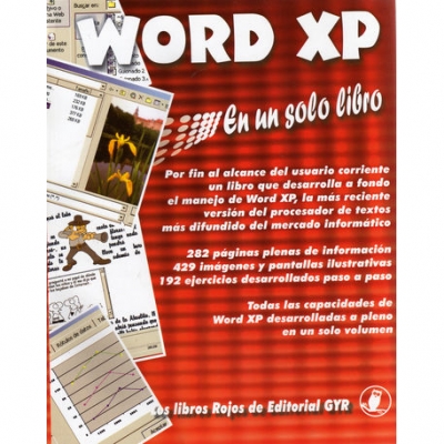 Libros Gyr Word Xp En Un Solo Libro